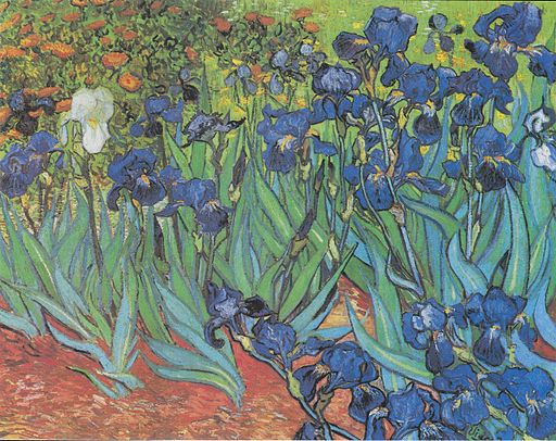 Vincent van Gogh Irises 1889